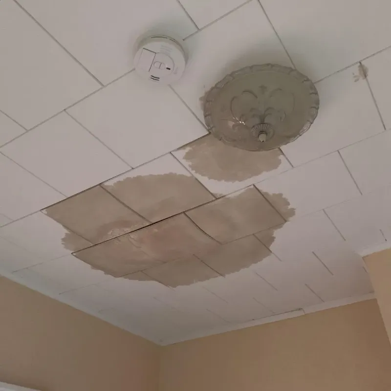 Ceiling Water Damage Repair in Bison, SD