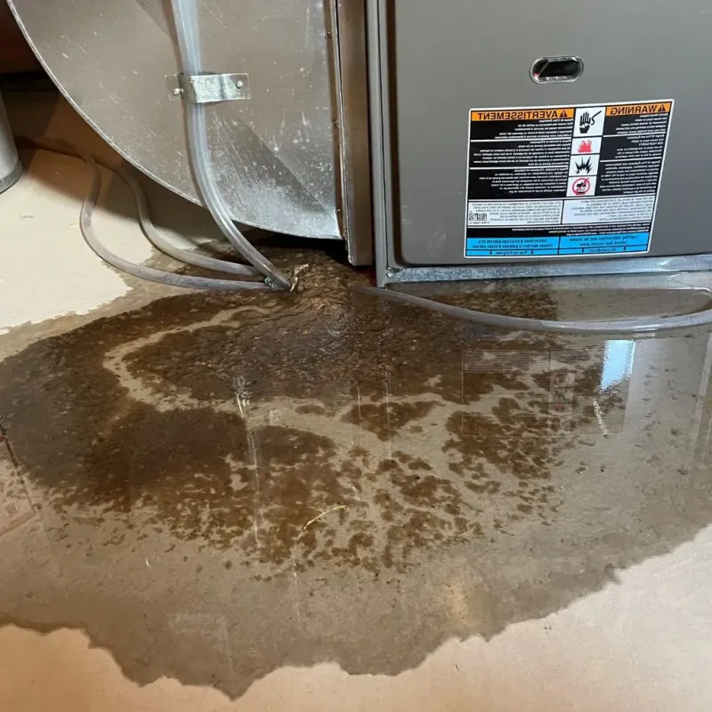 Pipe Burst and Leak Restoration in Bison, SD
