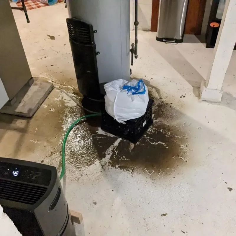 Sewage Backup Cleanup Service in Bison, SD